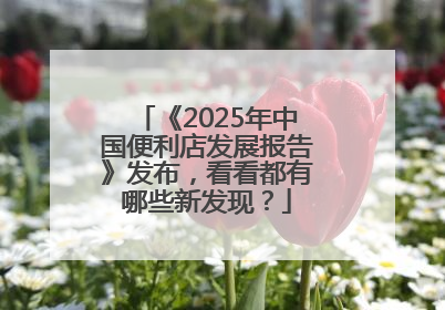 《2025年中国便利店发展报告》发布，看看都有哪些新发现？