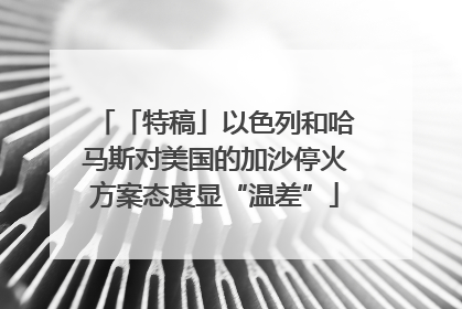 「特稿」以色列和哈马斯对美国的加沙停火方案态度显“温差”