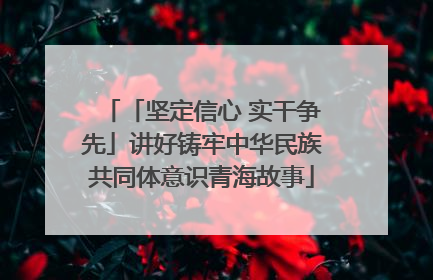 「坚定信心 实干争先」讲好铸牢中华民族共同体意识青海故事