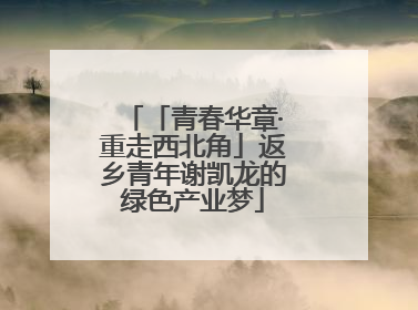 「青春华章·重走西北角」返乡青年谢凯龙的绿色产业梦