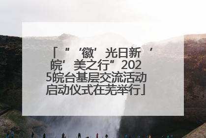 “‘徽’光日新‘皖’美之行”2025皖台基层交流活动启动仪式在芜举行