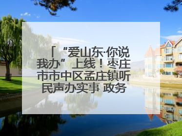 “爱山东·你说我办”上线！枣庄市市中区孟庄镇听民声办实事 政务服务暖心升级
