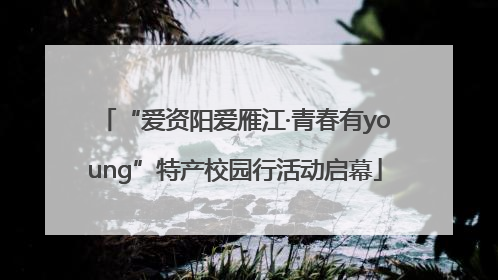 “爱资阳爱雁江·青春有young”特产校园行活动启幕
