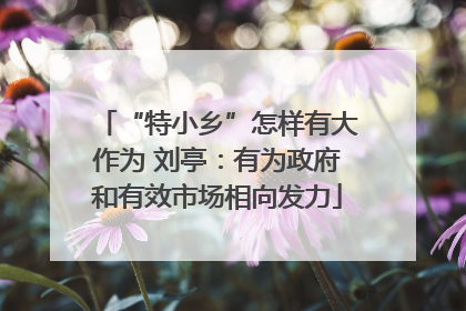 “特小乡”怎样有大作为 刘亭：有为政府和有效市场相向发力