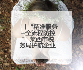 “精准服务+全流程防控” 莱西市税务局护航企业行稳致远
