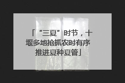 “三夏”时节，十堰多地抢抓农时有序推进夏种夏管