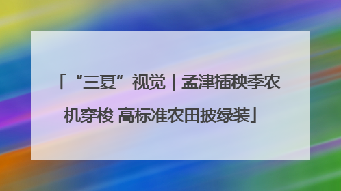“三夏”视觉｜孟津插秧季农机穿梭 高标准农田披绿装