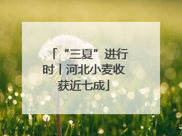 “三夏”进行时丨河北小麦收获近七成