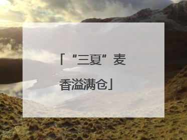 “三夏”麦香溢满仓