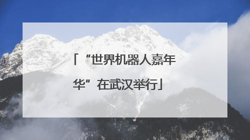 “世界机器人嘉年华”在武汉举行