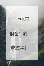 “中原粮仓”麦收过半