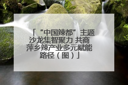 “中国辣都”主题沙龙集智聚力 共商萍乡辣产业多元赋能路径（图）