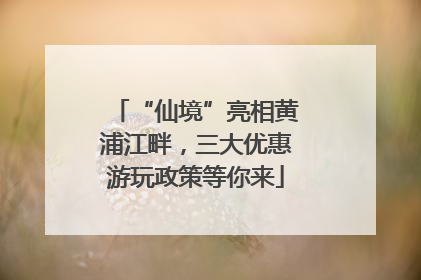 “仙境”亮相黄浦江畔，三大优惠游玩政策等你来