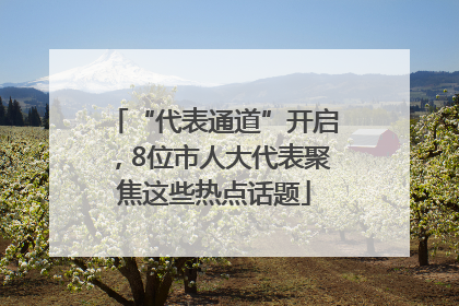 “代表通道”开启，8位市人大代表聚焦这些热点话题