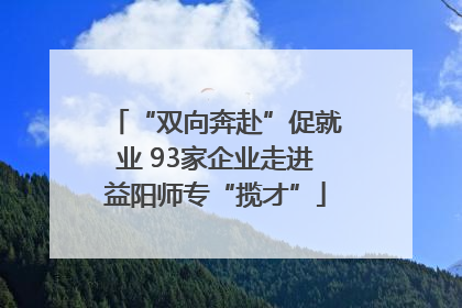 “双向奔赴”促就业 93家企业走进益阳师专“揽才”