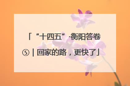 “十四五”·衡阳答卷⑤｜回家的路，更快了
