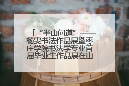 “半山问道”——杨雯书法作品展暨枣庄学院书法学专业首届毕业生作品展在山东省文化馆开幕