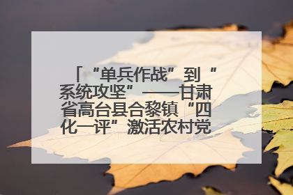 “单兵作战”到“系统攻坚”——甘肃省高台县合黎镇“四化一评”激活农村党员管理新引擎