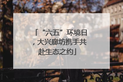 “六五”环境日，大兴廊坊携手共赴生态之约