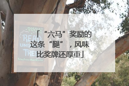 “六马”奖励的这条“腿”，风味比奖牌还厚重