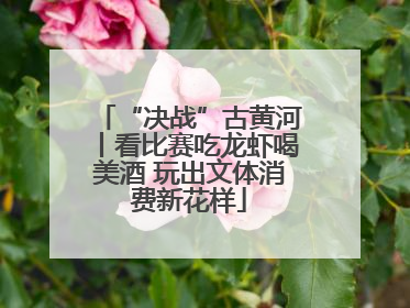 “决战”古黄河丨看比赛吃龙虾喝美酒 玩出文体消费新花样
