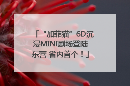 “加菲猫”6D沉浸MINI剧场登陆东营 省内首个！