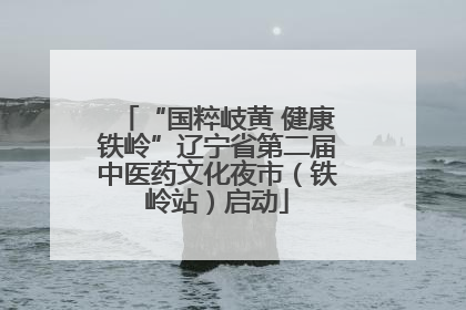 “国粹岐黄 健康铁岭”辽宁省第二届中医药文化夜市（铁岭站）启动