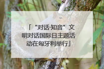 “对话·知音”文明对话国际日主题活动在匈牙利举行