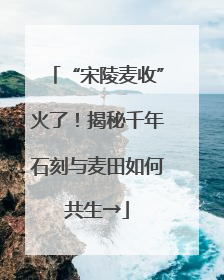 “宋陵麦收”火了！揭秘千年石刻与麦田如何共生→