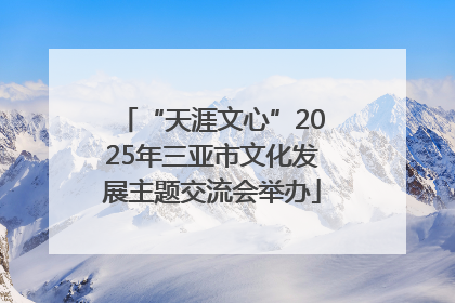 “天涯文心”2025年三亚市文化发展主题交流会举办