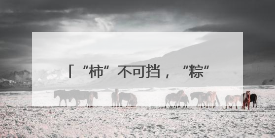“柿”不可挡，“粽”望所归！徐汇校园用仪式感为少年们“充能”