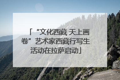 “文化西藏 天上画卷”艺术家西藏行写生活动在拉萨启动