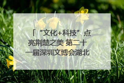 “文化+科技”点亮荆楚之美 第二十一届深圳文博会湖北馆抢“鲜”看