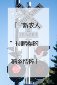 “新农人”付鹏程的稻乡情怀