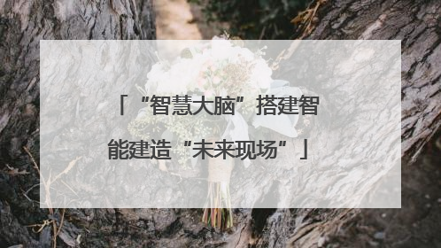 “智慧大脑”搭建智能建造“未来现场”