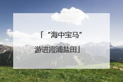 “海中宝马”游进霞浦盐田