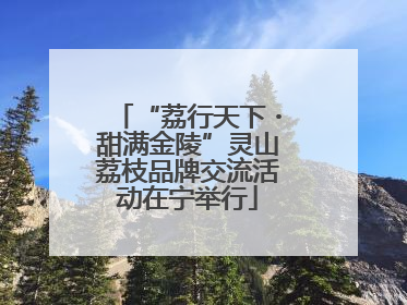 “荔行天下・甜满金陵”灵山荔枝品牌交流活动在宁举行