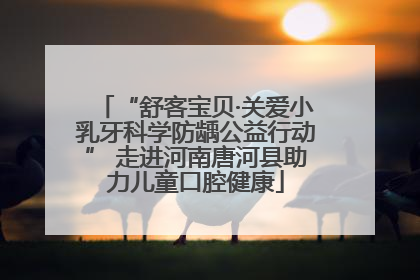 “舒客宝贝·关爱小乳牙科学防龋公益行动” 走进河南唐河县助力儿童口腔健康