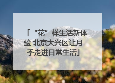 “花”样生活新体验 北京大兴区让月季走进日常生活