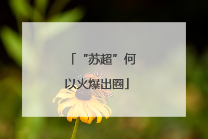 “苏超”何以火爆出圈