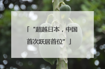 “超越日本，中国首次跃居首位”