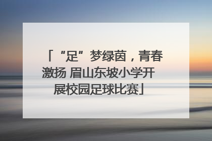 “足”梦绿茵，青春激扬 眉山东坡小学开展校园足球比赛