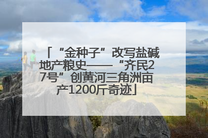 “金种子”改写盐碱地产粮史——“齐民27号”创黄河三角洲亩产1200斤奇迹