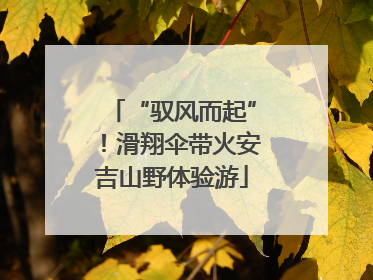 “驭风而起”！滑翔伞带火安吉山野体验游