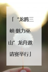 “龙腾三峡·魅力巫山”龙舟邀请赛举行
