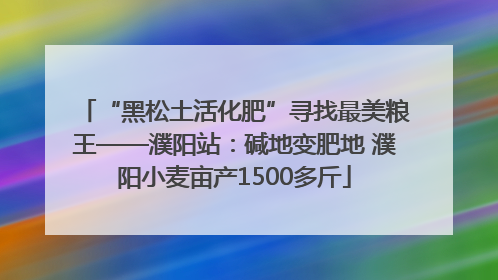 “黑松土活化肥”寻找最美粮王——濮阳站：碱地变肥地 濮阳小麦亩产1500多斤