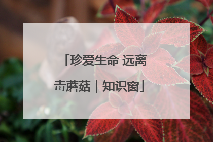 珍爱生命 远离毒蘑菇｜知识窗