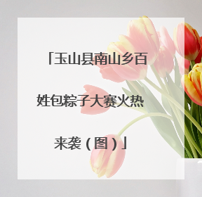玉山县南山乡百姓包粽子大赛火热来袭（图）