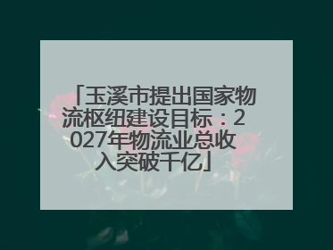 玉溪市提出国家物流枢纽建设目标：2027年物流业总收入突破千亿
