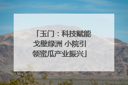 玉门：科技赋能戈壁绿洲 小院引领蜜瓜产业振兴